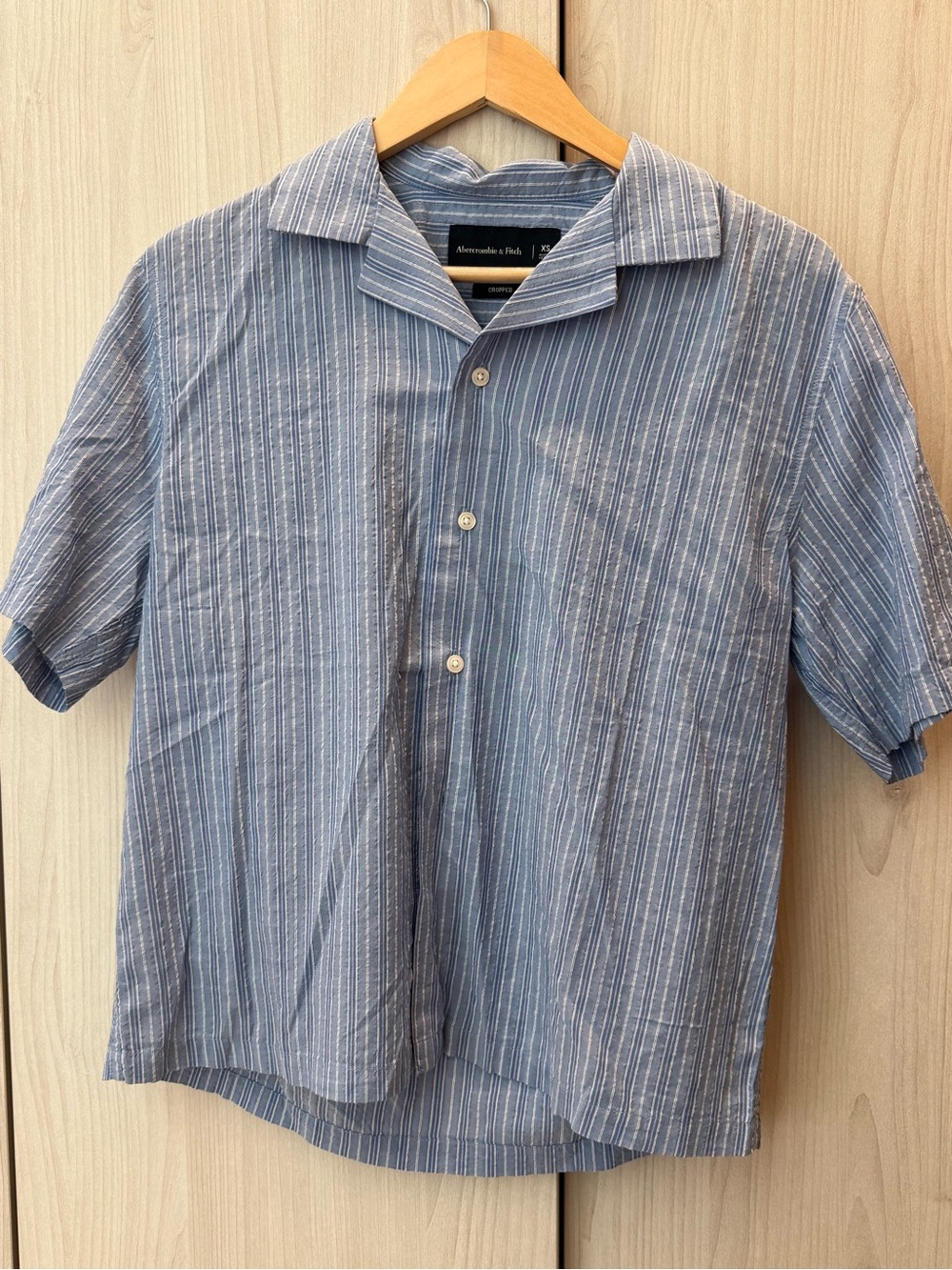 Abercrombie & Fitch Light Blue Striped Short-Sleeve Button-Down Shirt